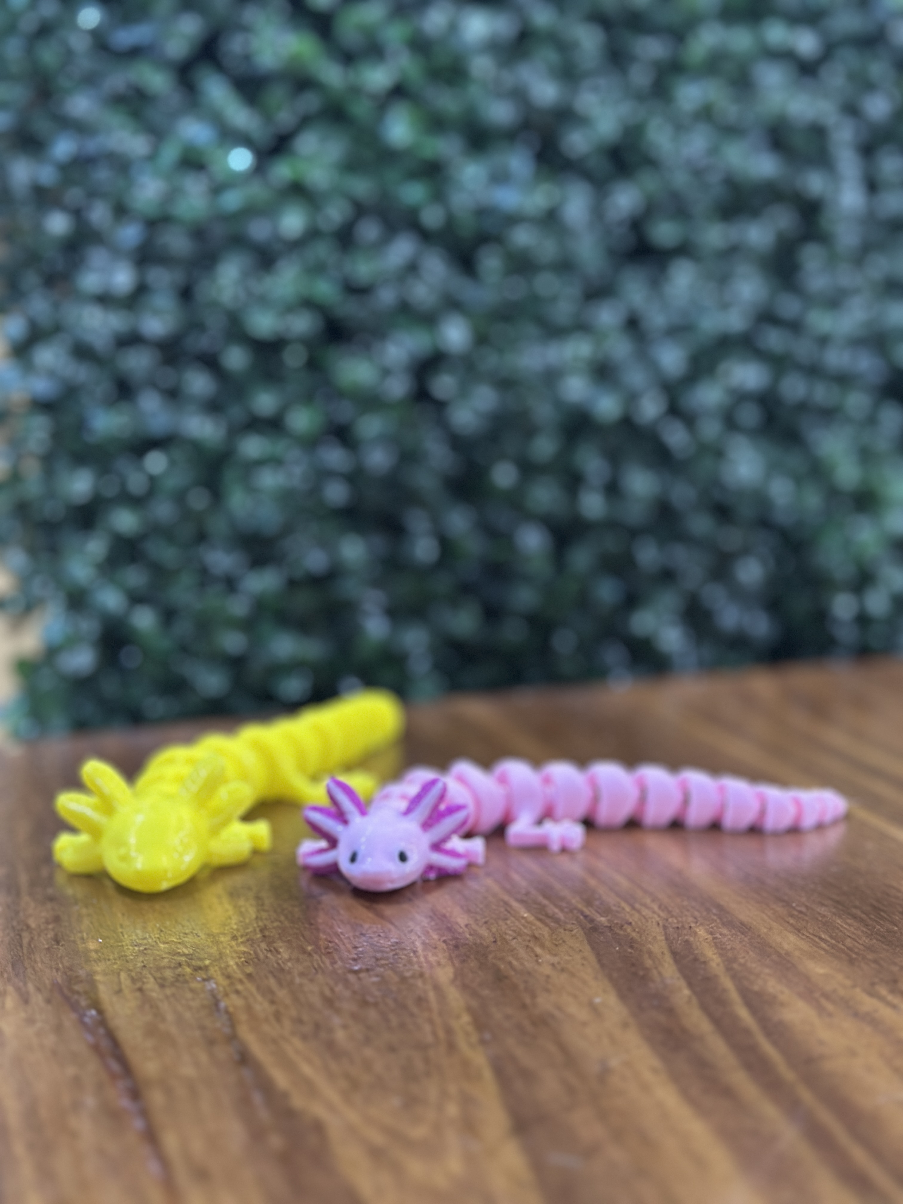 Ajolote Flexi Articulado 3D 🦎🌸✨