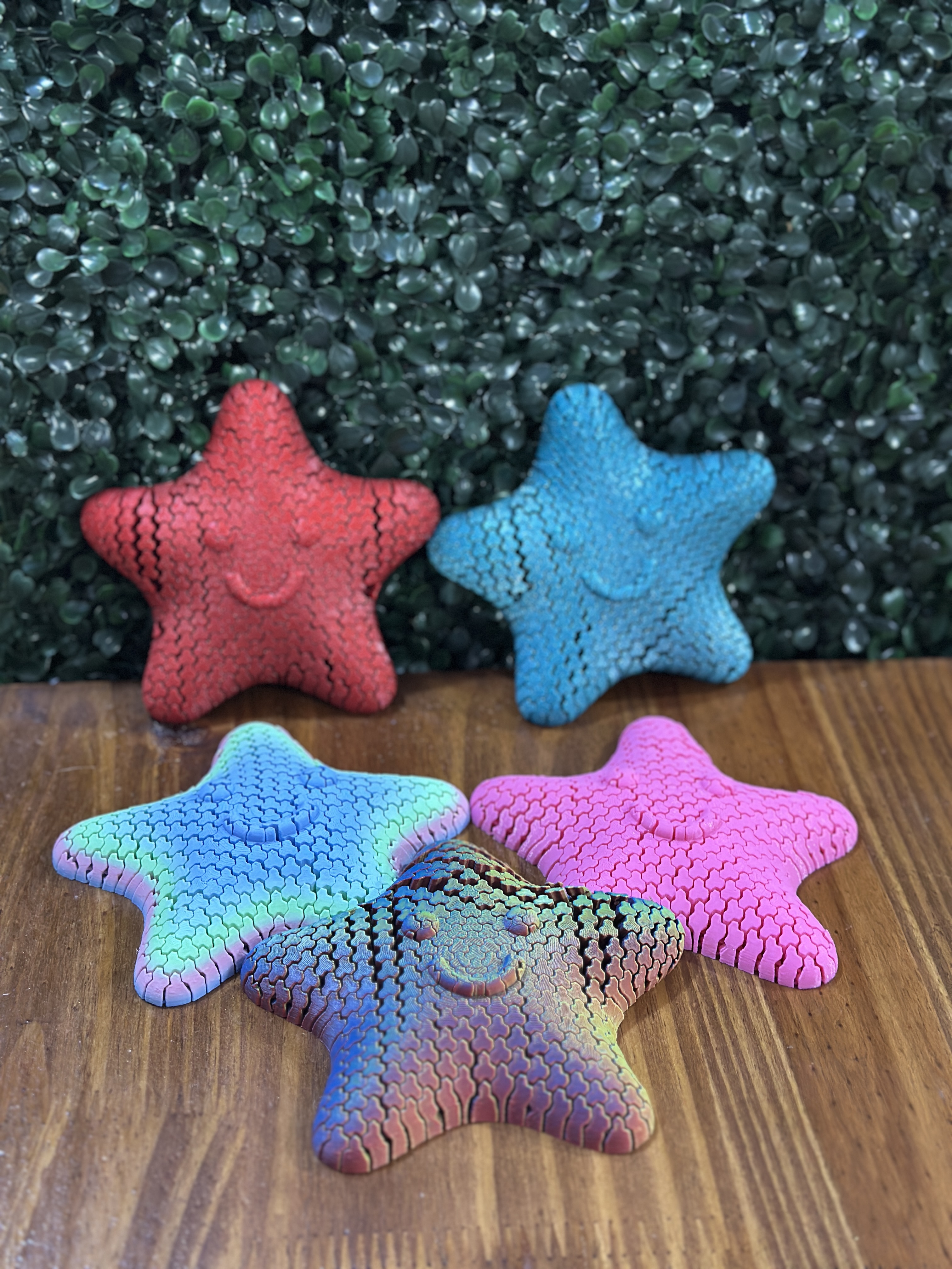 Set Estrella de Mar Flexi Antiestrés y Didáctica 3D ⭐️🌊✨