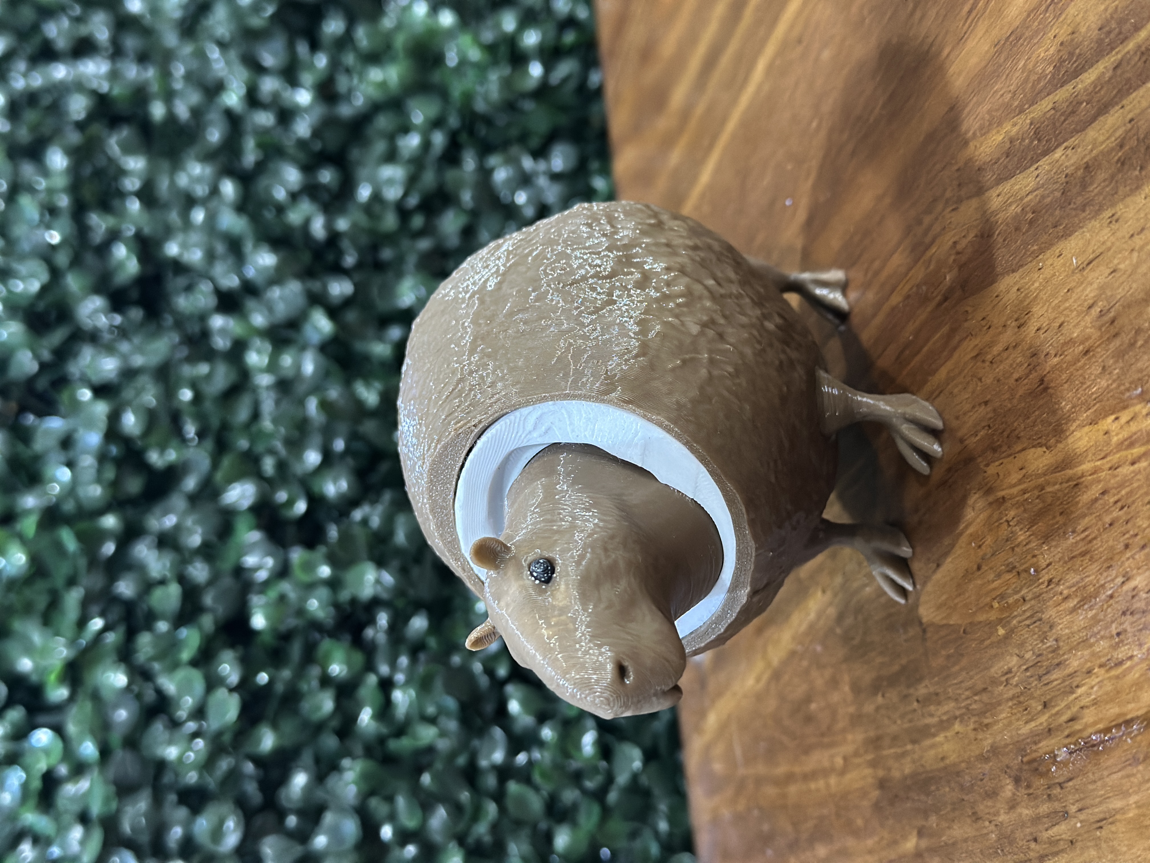 Figura Carpincho Coco / Capybara Coco Brainrot Meme 3D